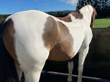 Load image into Gallery viewer, Molly &amp; Max Raspberry Hot Oil
