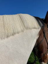 Load image into Gallery viewer, Molly &amp; Max Raspberry Hot Oil
