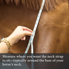 Load image into Gallery viewer, Correct Connect Double Neck Strap
