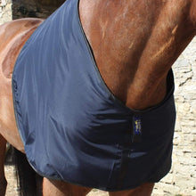 Load image into Gallery viewer, Horse Shoulder Guard
