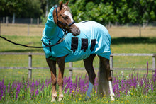 Load image into Gallery viewer, Bug Body Fly Rug
