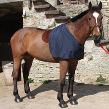 Load image into Gallery viewer, Horse Shoulder Guard
