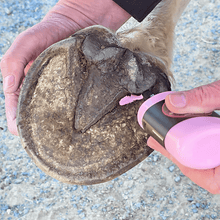 Load image into Gallery viewer, Hoof IX™ Pink Squeezable Hoof Liquid
