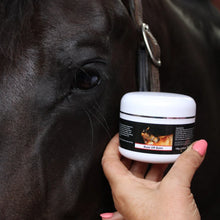 Load image into Gallery viewer, Buzz off Balm
