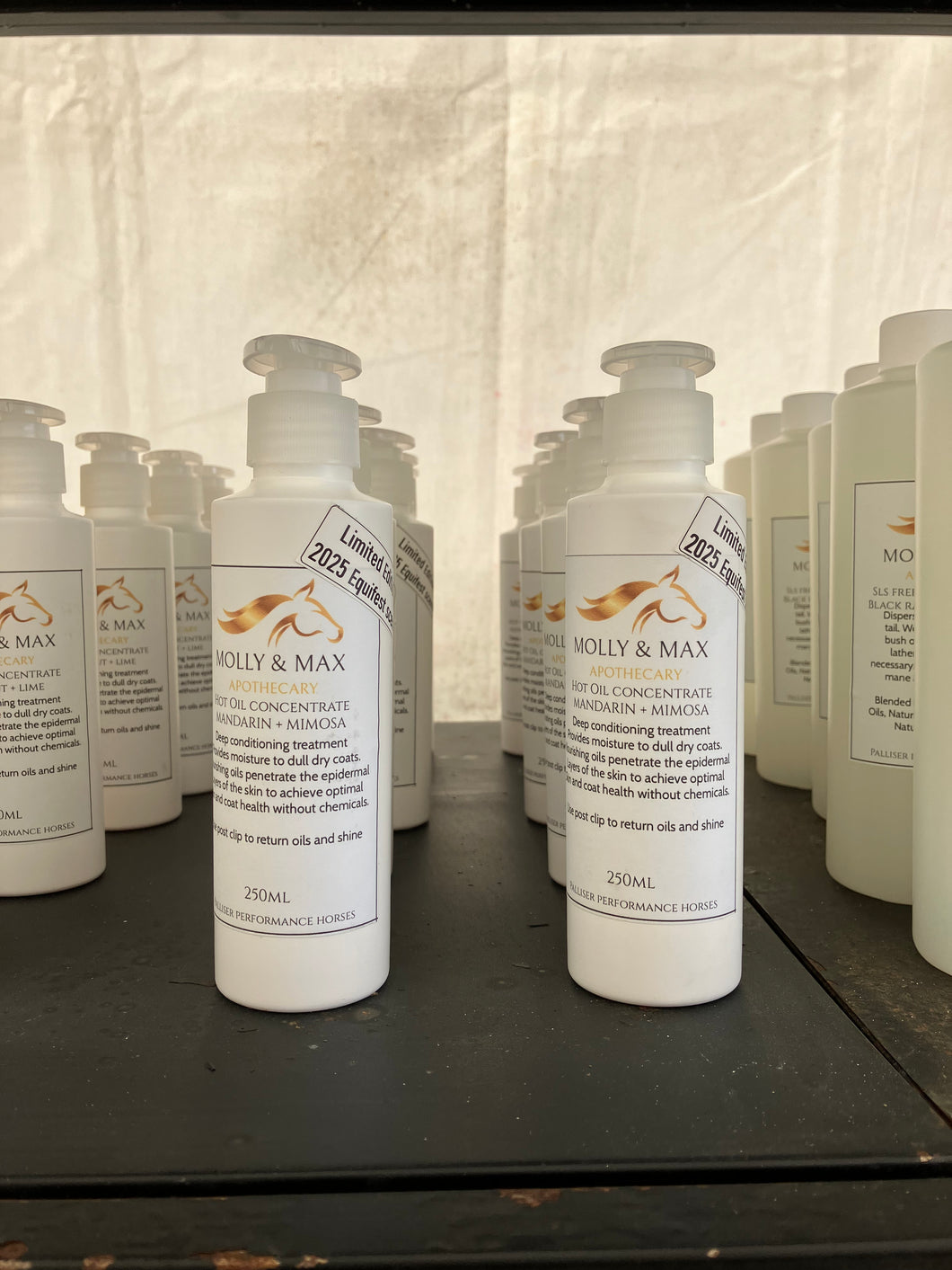 Molly & Max Hot Oil -Limited Edition Mandarin & Mimosa