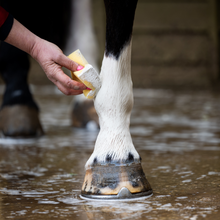 Load image into Gallery viewer, Leg &amp; Body Whitener
