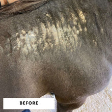 Load image into Gallery viewer, Itch Soothe Balm
