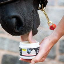 Load image into Gallery viewer, Lip &amp; Bit Balm
