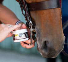 Load image into Gallery viewer, Lip &amp; Bit Balm
