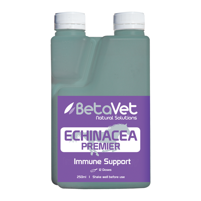 ECHINACEA PREMIER