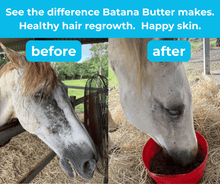 Load image into Gallery viewer, HSE Batana Butter – Moisture Bomb

