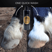 Load image into Gallery viewer, Mud Suds Clarifying Charcoal Horse Shampoo
