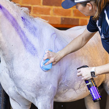 Load image into Gallery viewer, Eziwash -Purple Haze Shampoo
