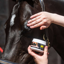 Load image into Gallery viewer, Enhancing Gloss
