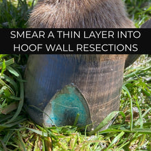 Load image into Gallery viewer, Beeswax BLUE Balls® Hoof Wall Crevice Wax
