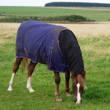 Load image into Gallery viewer, Headless Turn Out Hood
