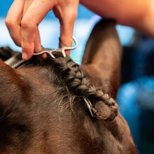 Load image into Gallery viewer, Forelock Plaiting Grippers
