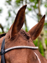 Load image into Gallery viewer, Forelock Plaiting Grippers

